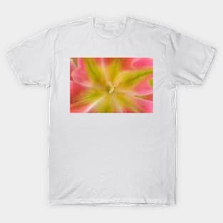 Tulipa  &#39;Virichic&#39;    Viridiflora Group Tulip T-Shirt